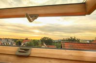 rated Drumlithie roof window companies